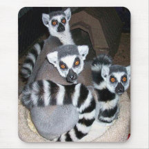 Ringtail Lemur Monkey Mousepad