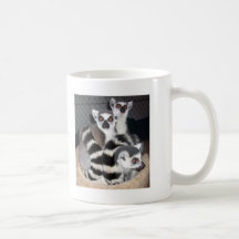 Ringtail Lemur Monkey Mug