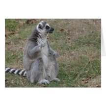 Ringtail Maki Greeting Card