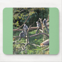 Ringtails On Branches Mouse Pads