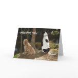 Rio, Chance Missing You Greeting Card