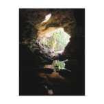 Rio Frio Cave Postcard