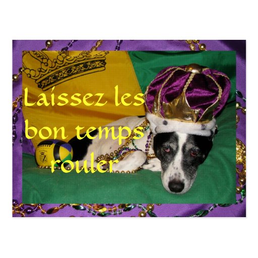 Rio's Mardi Gras Postcard