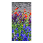 riot of colors photo cards