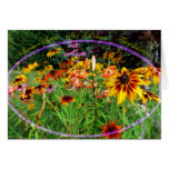 Riot-of-Colours-Garden Greeting Cards