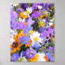 Riot of Floral Colours