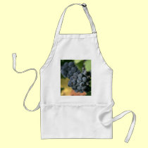 Ripe grapes on the vine apron aprons
