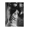 Ripped Torso Postcard