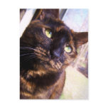 risa cat Postcard