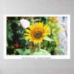 Rise - N - Shine Print