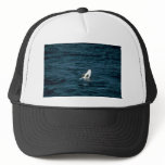 Risso's Dolphin Trucker Hats