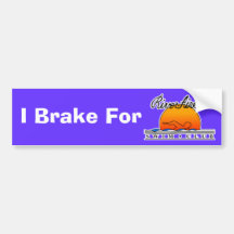 River Aire Bumper Sticker