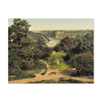 River Avon from Clifton Downs, Bristol, England cl Post Cards