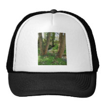 River between Trees in a forest Mesh Hat
