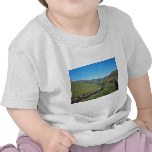 River Fooey and Loch Na Fooey T Shirt