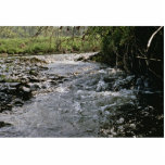 River Habitat photo sculptures