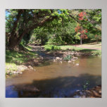 River of Serenity posters