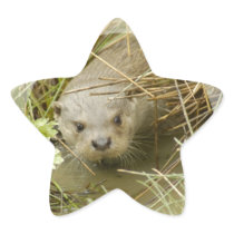 River Otter Habitat Stickers