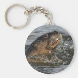 river otter key chains