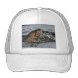 river otter mesh hats