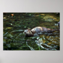 River Otter Poster