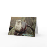 River Otter, Thinking of you... Cards