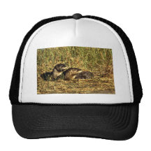 River Otters Trucker Hat