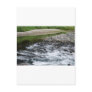 River rapids over rocks post cards