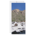 River Rapids rack cards