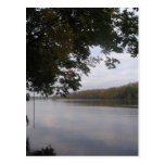 river swing post card