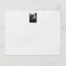 River Taw. Black and White. Personalized Flyer