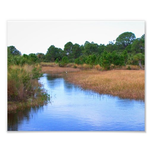 River through marshland savannah swamp picture art photo