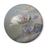 River Turtles Magnet
