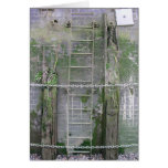 Riverbank wall, River Thames, London Card
