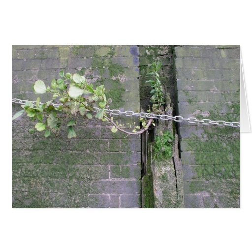 Riverbank wall, River Thames, London Cards