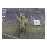 Riverbank wall, River Thames, London Greeting Card