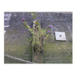 Riverbank wall, River Thames, London Postcard