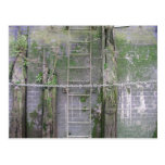 Riverbank wall, River Thames, London Postcards