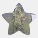 Riverbank wall, River Thames, London Star Sticker