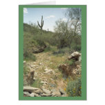 Riverbed Remembrance Greeting Cards or Note Cards