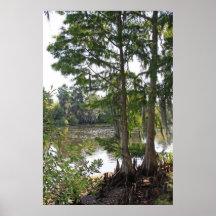 Riverside Nature Poster