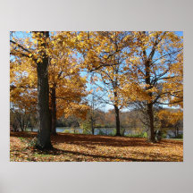 Riverside Park 1 Print