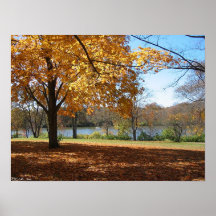 Riverside Park 2 Posters