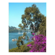 riverside postcard