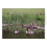 Riverside Scene cards
