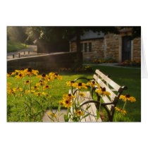 Riverview Park Card