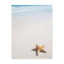 Riviera Maya Post Card