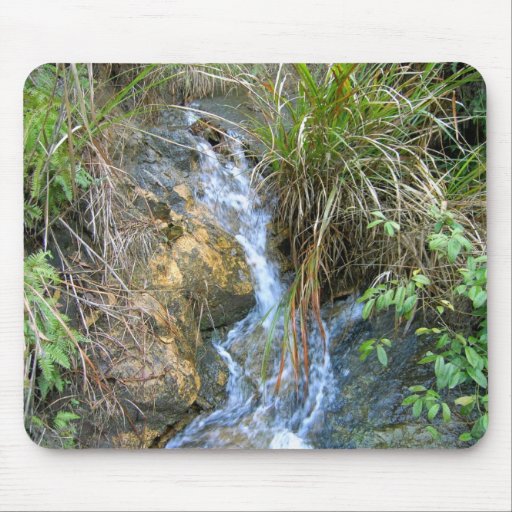 Rivulet in Grass Mouse Pad