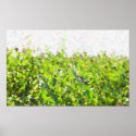 Riyah-Li Designs Grass posters