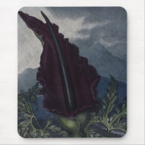 RJ Thornton - The Dragon Arum Mouse Mats